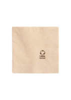 24cm 2ply 4 Fold '100% Recycled' Printed Napkins x 4000