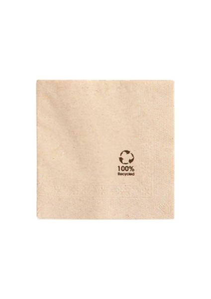 24cm 2ply 4 Fold '100% Recycled' Printed Napkins x 4000